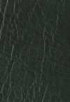 Softub Farbe Forest Green